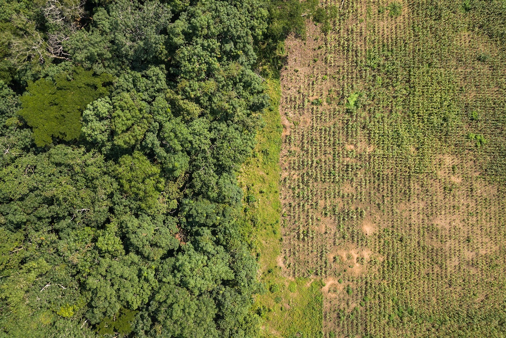 National Carbon Frameworks
