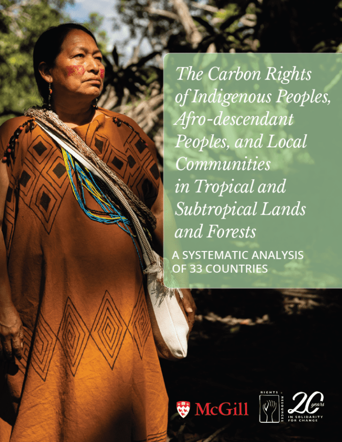 Since UNFCCC CoP29 in November 2024 and the nominal approval of Article 6.4 of the Paris Agreement, the regulatory landscape has been rapidly changing. This report and accompanying data provide a snapshot of carbon rights in a world where there is massive institutional demand for carbon trading to work and significant uncertainty about whether market mechanisms will deliver credible, fair, and equitable results. This report examines the current state of play as countries prepare for the operationalization o