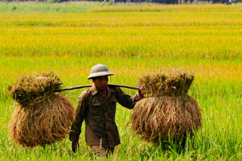 Farmers in the Mekong