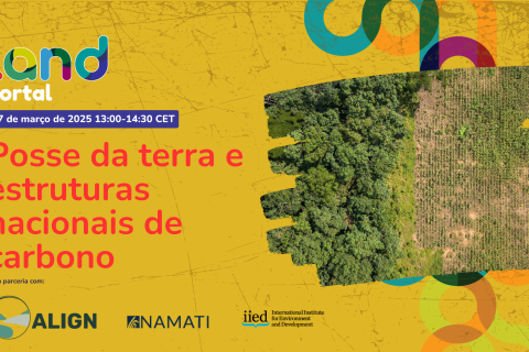 Posse da terra e estruturas nacionais de carbono