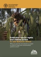 Collective Tenure Rights