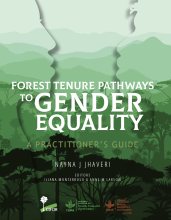 Forest tenure pathways to gender equality: A practitioner’s guide