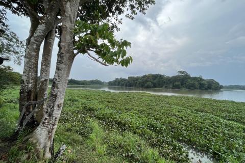 Journalism project highlights solutions to land and environmental challenges